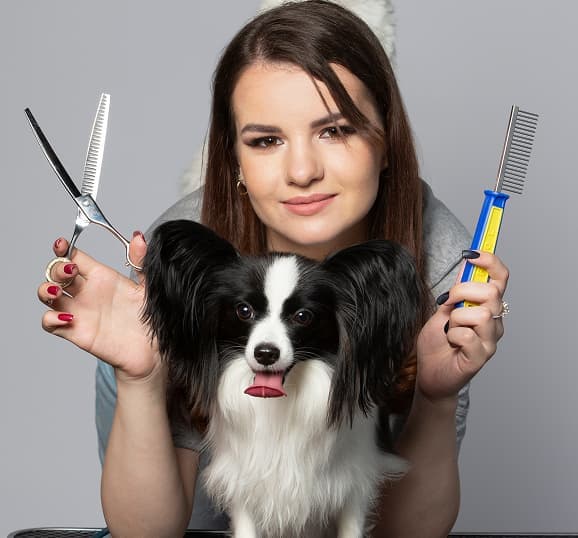 Pet kuaförü bir köpeğin tüylerini özenle tararken