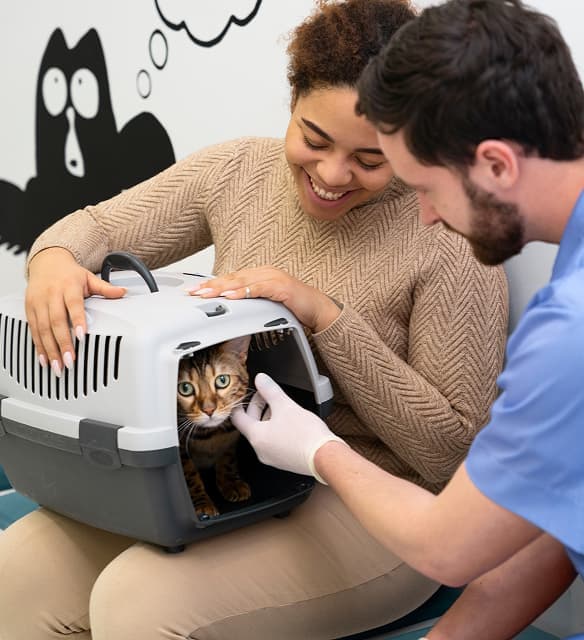 Taşıma çantasıyla salonumuza gelen minik kedi misafirimiz